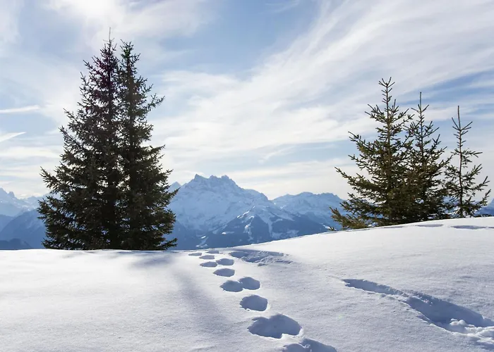 Le Bristol B52 By Interhome Апартаменты *