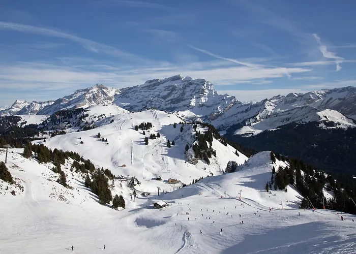 Апартаменты Le Bristol B52 By Interhome