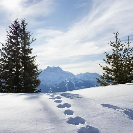 Le Bristol B52 By Interhome Daire *